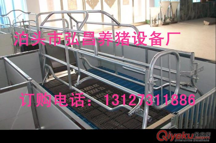 熱鍍鋅新型歐式母豬產床養豬設備生產廠家優質出售原始圖片3
