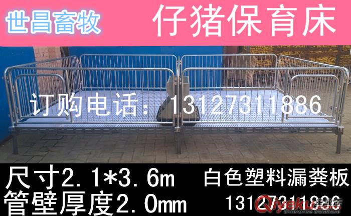 河北弘昌養豬設備生產銷售雙體仔豬保育床小豬飼喂設備保育欄