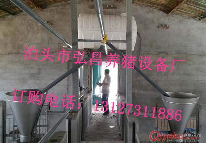 賽盤料線式自動化喂豬設備廠家地址 設計安裝全自動養豬上料器