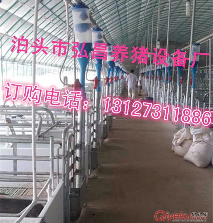賽盤料線式自動化喂豬設備廠家地址 設計安裝全自動養豬上料器