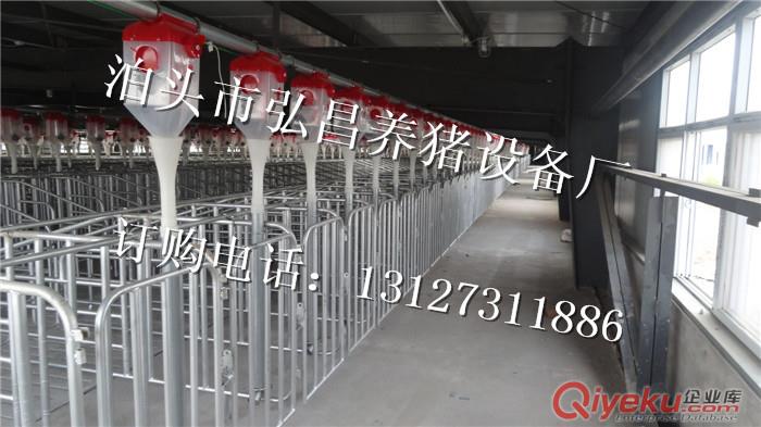 賽盤料線式自動化喂豬設備廠家地址 設計安裝全自動養豬上料器