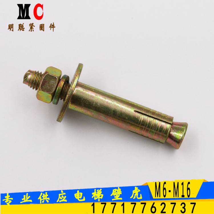 批發(fā)電梯專用膨脹螺栓 電梯膨脹栓廠家 電梯壁虎原始圖片2