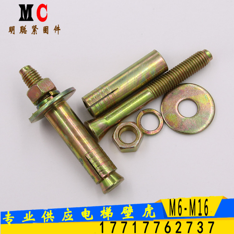 批發(fā)電梯專用膨脹螺栓 電梯膨脹栓廠家 電梯壁虎原始圖片3