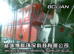 南通如皋2噸燃煤鍋爐改造生物質(zhì)鍋爐-博聯(lián)優(yōu)質(zhì){gx}