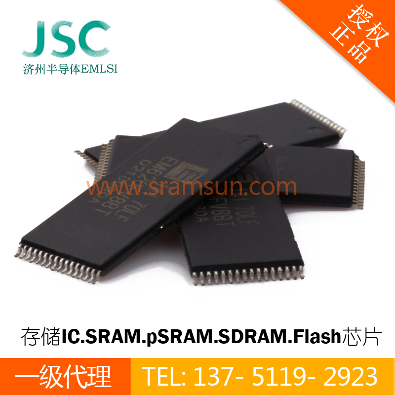 JSC存儲器 集成電路存儲  EM611FV16U-45LF	原始圖片2