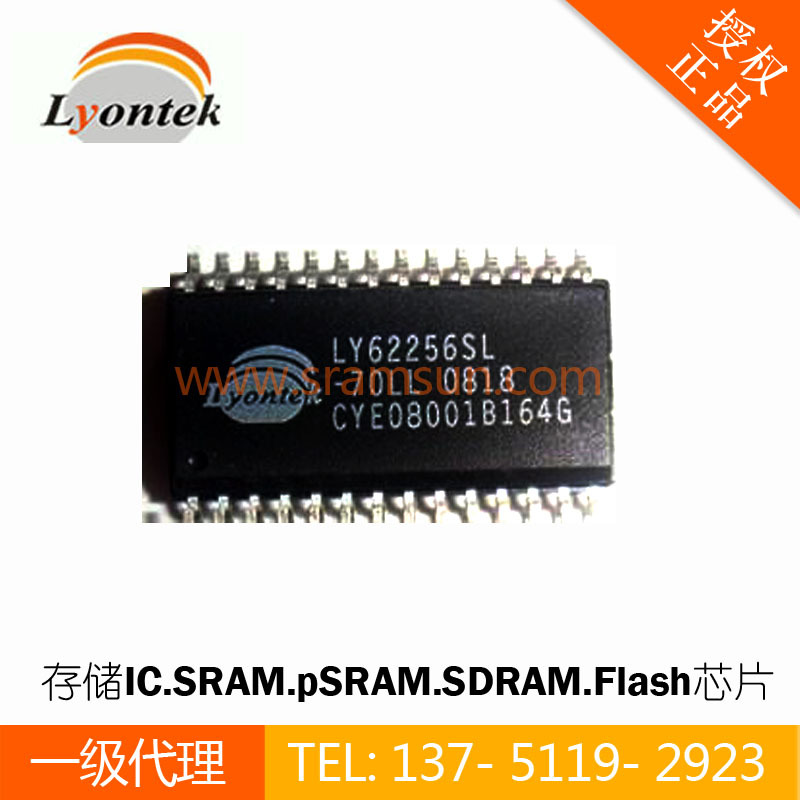 Lyontek存儲器  SRAM芯片  LY61L2568