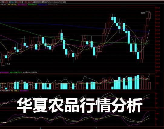 專業的農產品現貨交易誠招加盟[薦]|華夏平臺