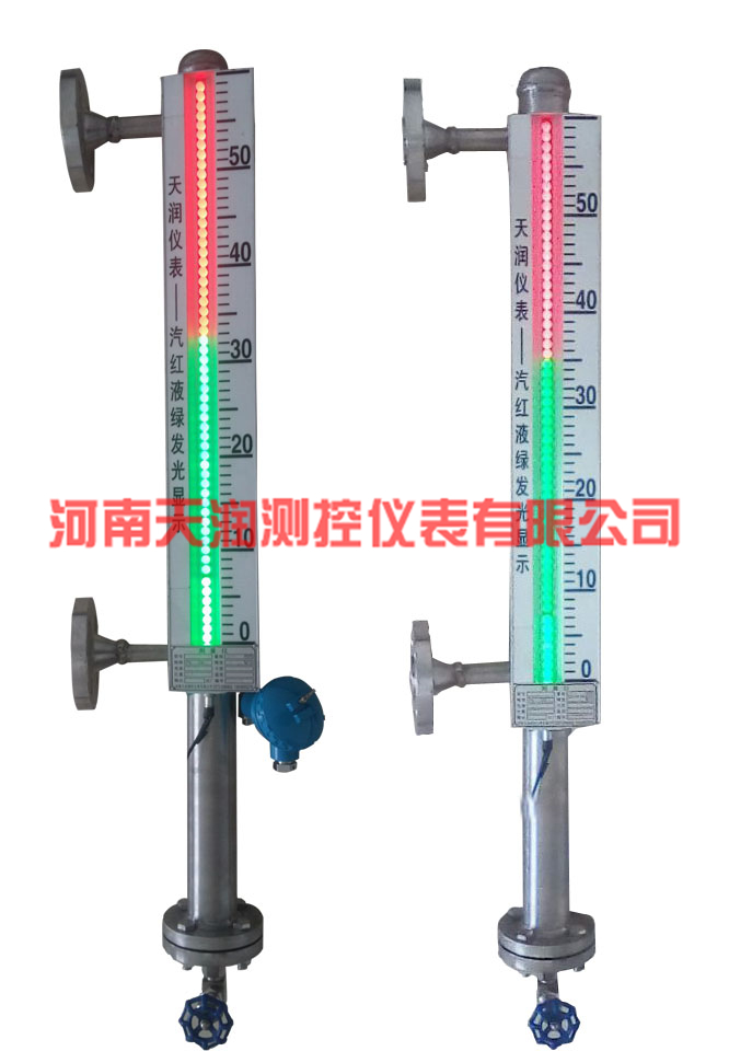 TR-DSJ-6系列電子雙色液位計型號