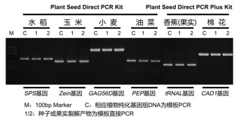 哪儿能买到优质PCR试剂盒 好用的全球技术{lx1}PCR试剂盒