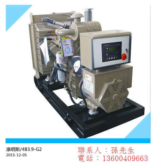 沙田發電機組供應20kw發電機組原始圖片2