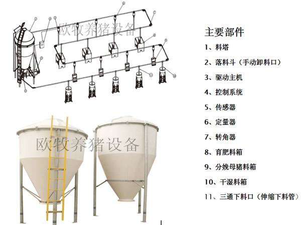 大型豬用自動(dòng)上料系統(tǒng)銷售