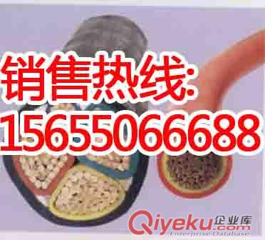 CJPJ85/SC電纜
