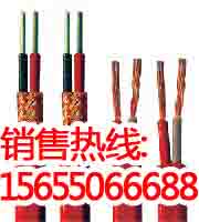 ZR-KX-GS-VPV 2*1.5熱電偶補(bǔ)償導(dǎo)線，生產(chǎn)廠家