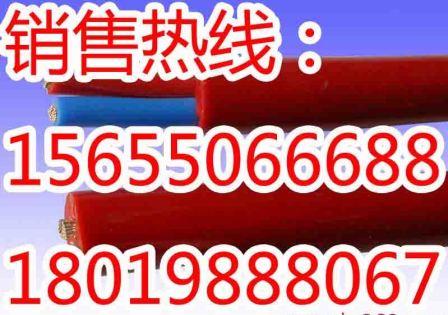 耐酸堿電纜，耐酸堿電纜生產(chǎn)廠家，國標品質(zhì)