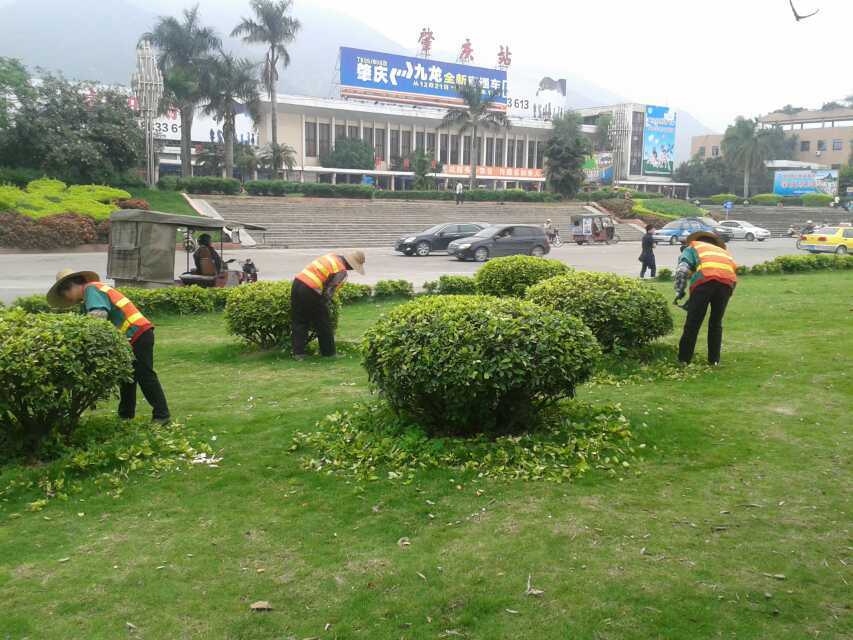 园林绿化工程工程服务 土石方工程