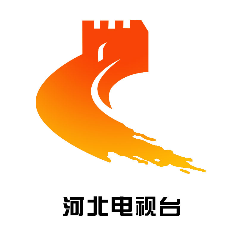 河北衛(wèi)視中華好詩詞廣告投放_海王廣告專業(yè)提供{gx}的明星同樂會廣告投放
