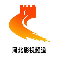 推薦電視臺廣告|高水平的河北電視廣告出自海王廣告