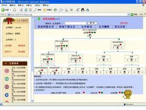 会员制软件,公司管理系统,投资分红源码