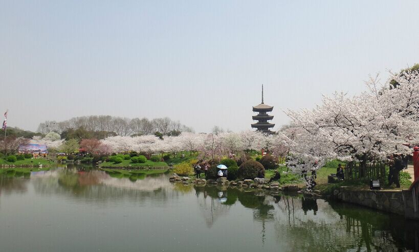 江岸旅游客运价格合理服务周到/找武汉江滩旅游车