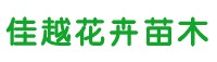 评价：【优质绿化苗木】【优质扶芳藤 优质马鞭草价格 金叶莸直销】