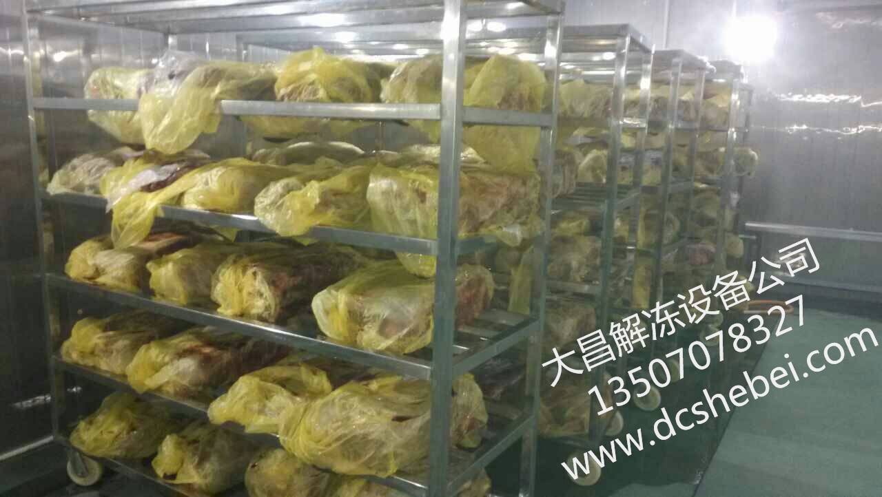 豬六分體解凍設備，豬肉六分體解凍價格，豬肉解凍設備原始圖片3