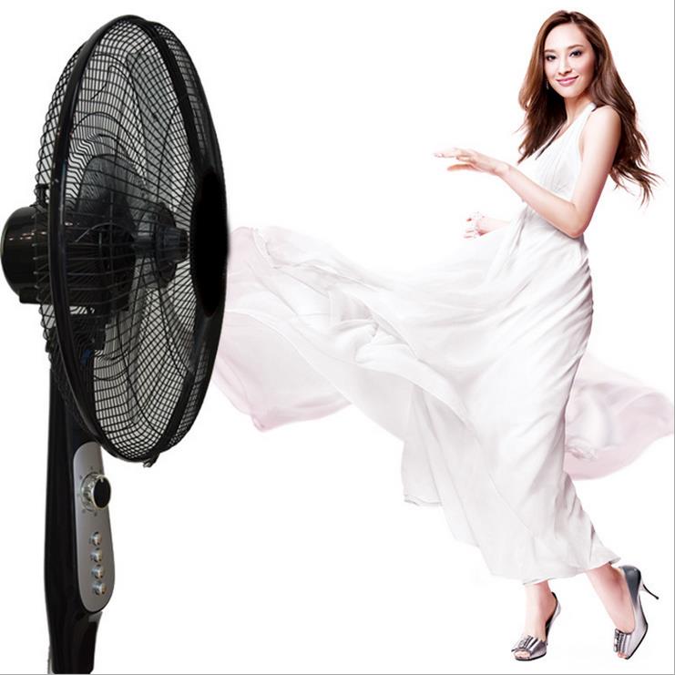 廠(chǎng)價(jià)直銷(xiāo)熊貓超靜音電風(fēng)扇落地扇家用禮品tg可升降定時(shí)風(fēng)扇批發(fā)