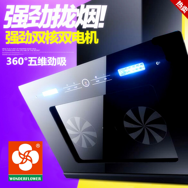 廠家批發 雙電機雙吸油煙機側吸式鋼化玻璃家用廚房吸油煙機