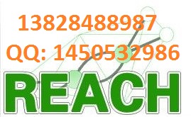 ROHS6項檢測REACH172項SGS報告在您需要檢測認證的時候