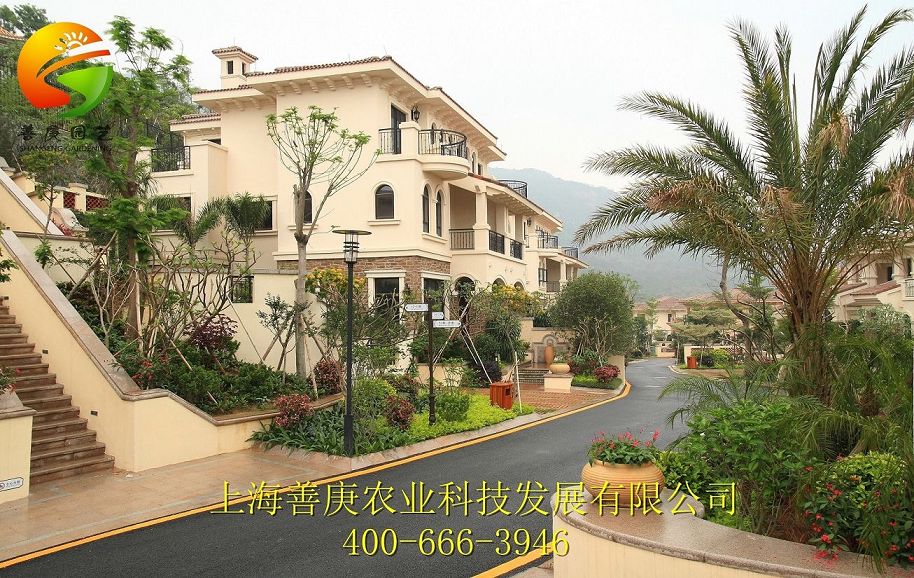 上海市市政綠化工程公司推薦，市政綠化工程渠道