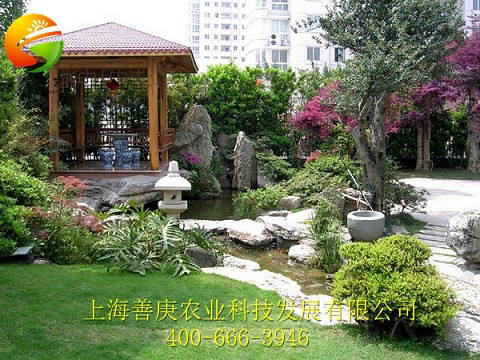 專業的別墅園林景觀設計_上哪找靠譜的別墅園林景觀設計施工