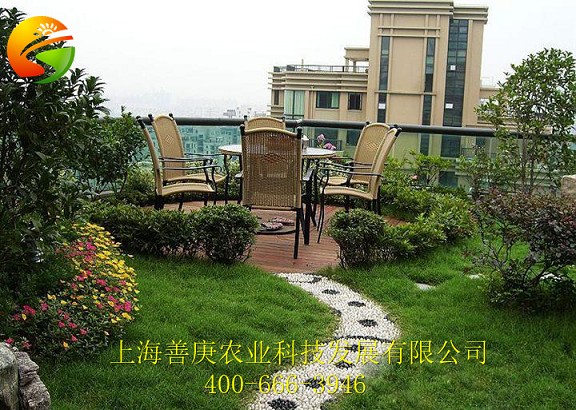 找可信的別墅園林景觀設(shè)計(jì)施工就到善庚農(nóng)業(yè) 別墅園林景觀設(shè)計(jì)哪家好