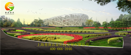 想要綠化工程苗木就來善庚農業(yè)，怎么挑選綠化苗木