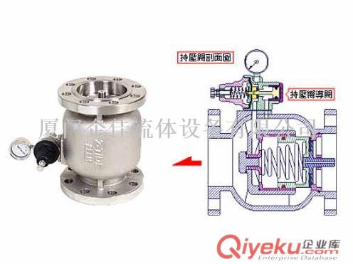 臺(tái)灣日泰凡而 Z-TIDE子母式持（背）壓閥 總代理