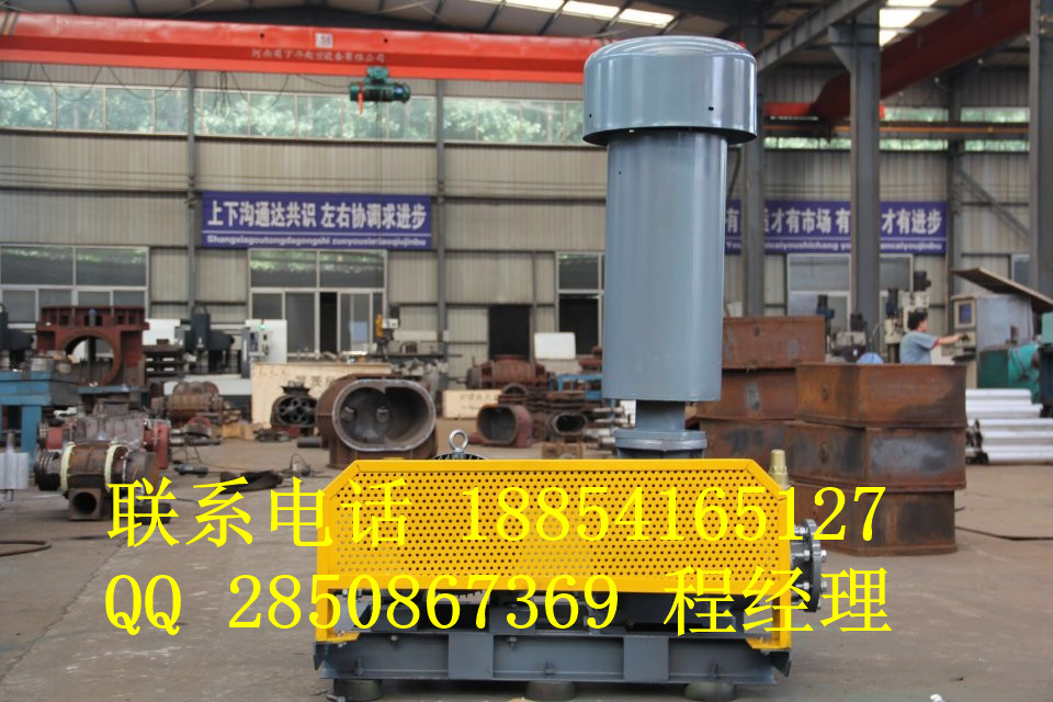 供應河北hdsr125天然氣輸送羅茨風機原始圖片2