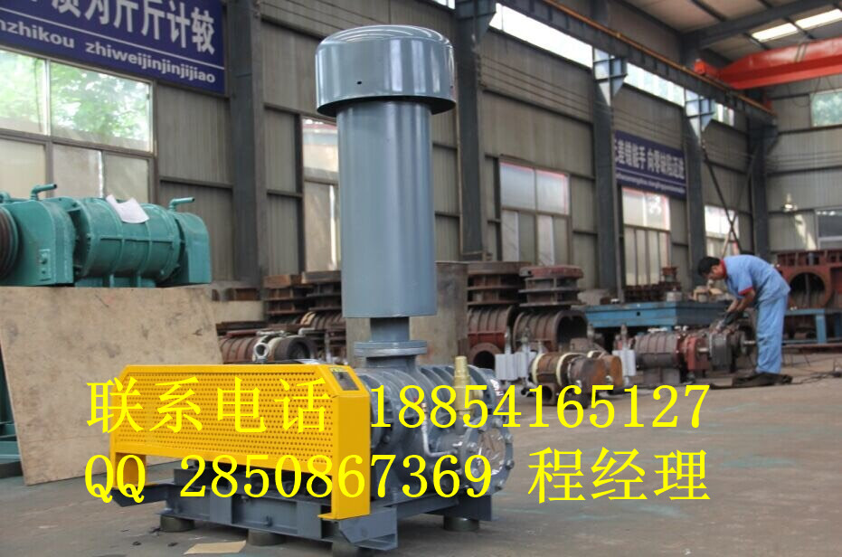 供應河北hdsr125天然氣輸送羅茨風機原始圖片3