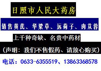 出售豬毛菜、豬毛菜、芳育草、桑柴灰、博落回子