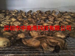 海虾烘干机哪家好：水产品智能烘干机定制提供商哪家好