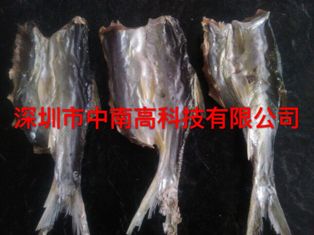 智能烘干机找哪家|可靠的水产品智能烘干机定制【推荐】