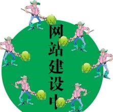 無(wú)錫網(wǎng)絡(luò)服務(wù)/無(wú)錫網(wǎng)絡(luò)優(yōu)化服務(wù)