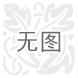 洛陽網絡公司-中之龍信息科技