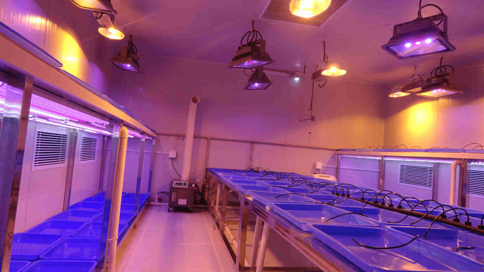 武漢培養架型人工氣候室建設原始圖片2