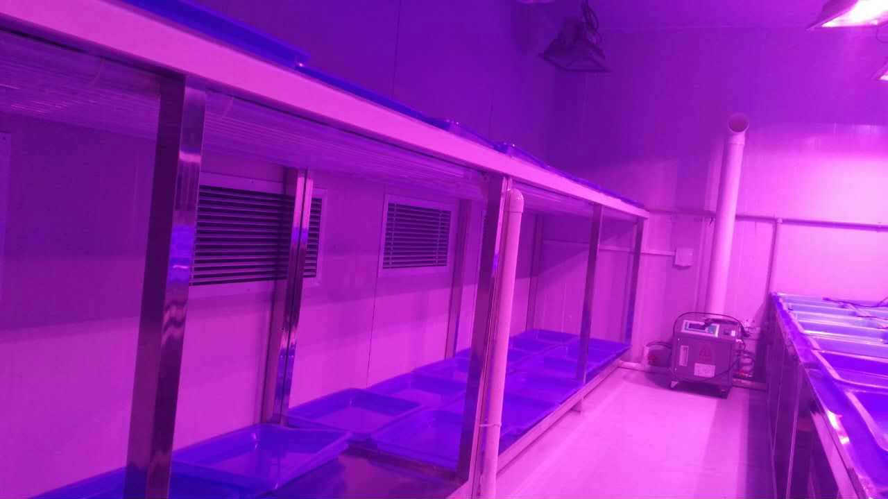 供應人工氣候室建設 。人工氣候室工程。人工氣候室改造。