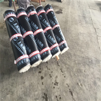 國標丙綸耐根穿刺自粘防水防潮卷材屋面專業