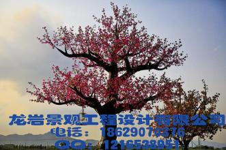 西安噴泉安裝_龍巖景觀:hylt 質(zhì)量保證！