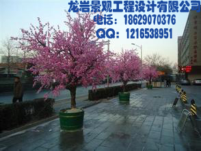亭臺樓閣圖片