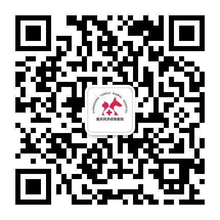 重慶寵物診所哪家專業-渝北區寵物診所哪家靠譜
