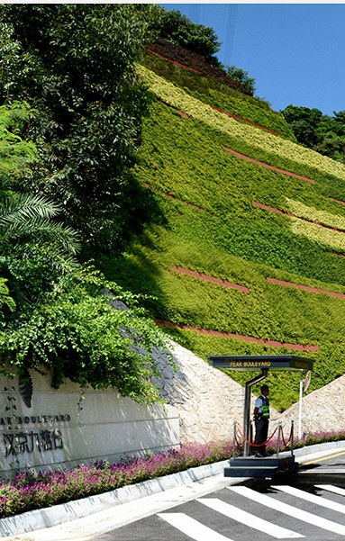 深圳綠化植物墻認準鐵漢一方綠化綠化，定制批發，廠家直銷