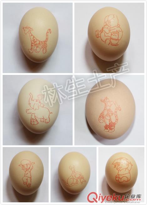 林生土產-土雞蛋，山雞蛋，禮盒雞蛋, 山林散養雞蛋