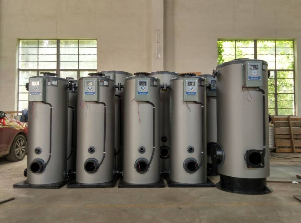 鍋爐直銷：便宜的臥式沼氣蒸汽鍋爐推薦
