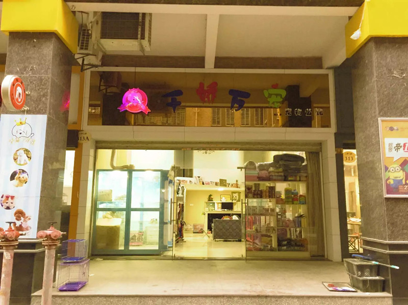 卡蒂斯諾犬業，資深的泉州寵物店 公司_惠安哪個寵物店好